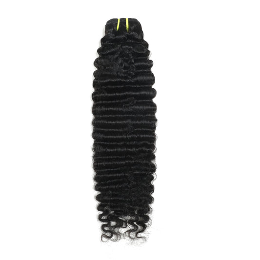 Burmese Curly Premium