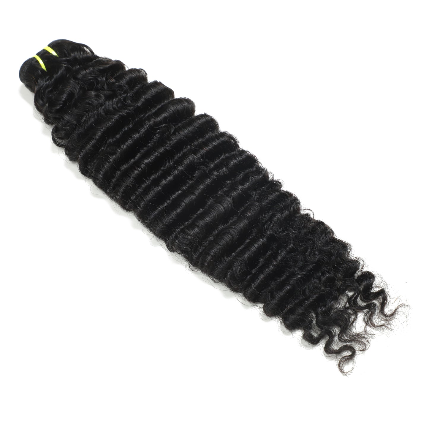 Burmese Curly Premium