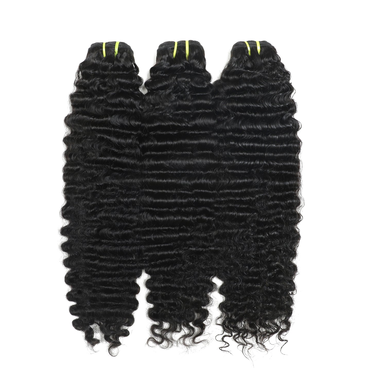 Burmese Curly Premium
