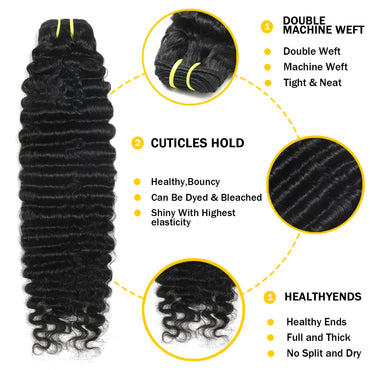 Burmese Curly Premium