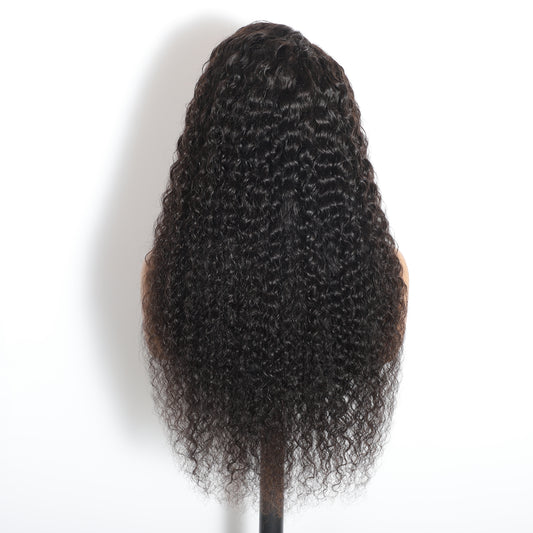 Water Wave HD 13x4 Frontal Lace Wig