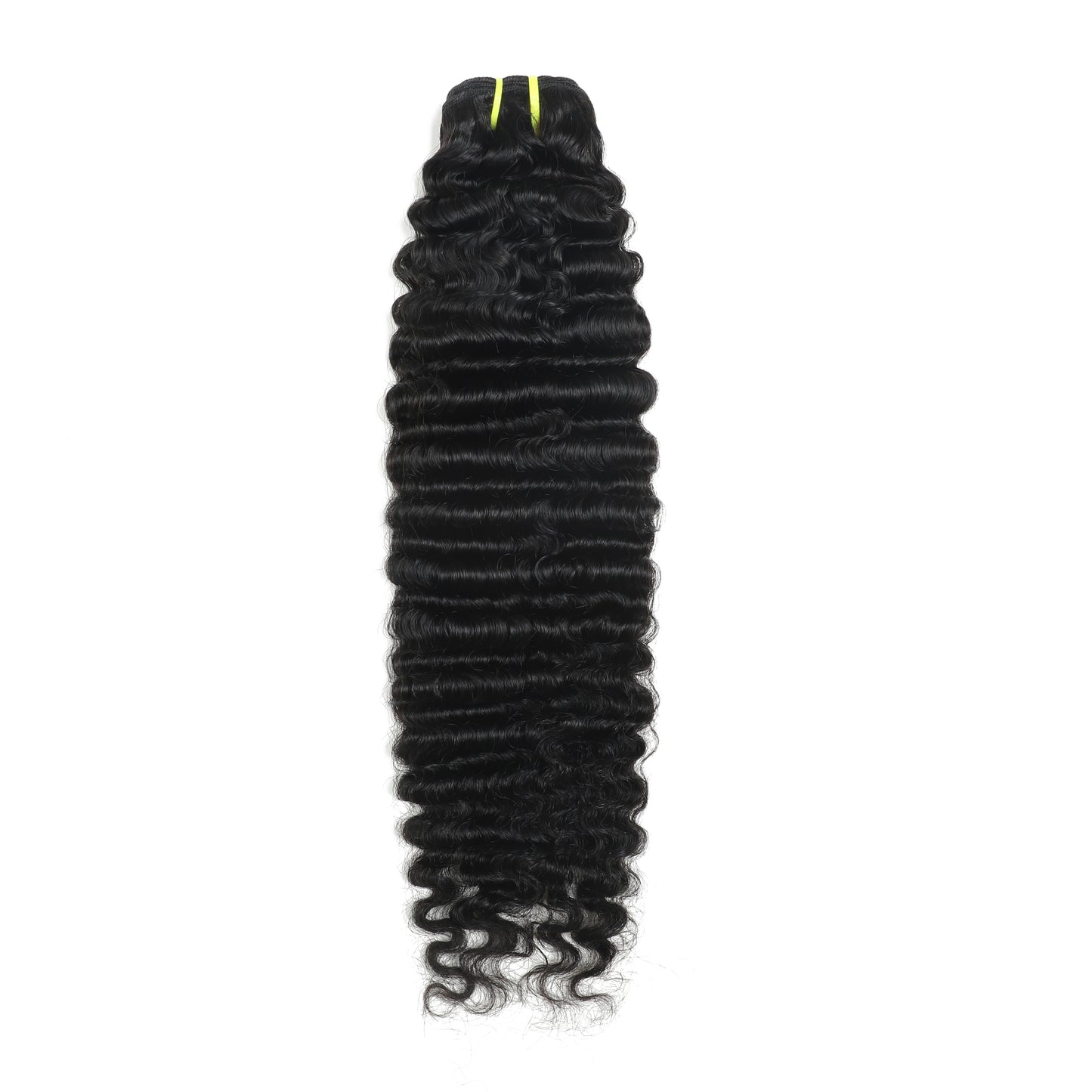 Burmese Curly Premium