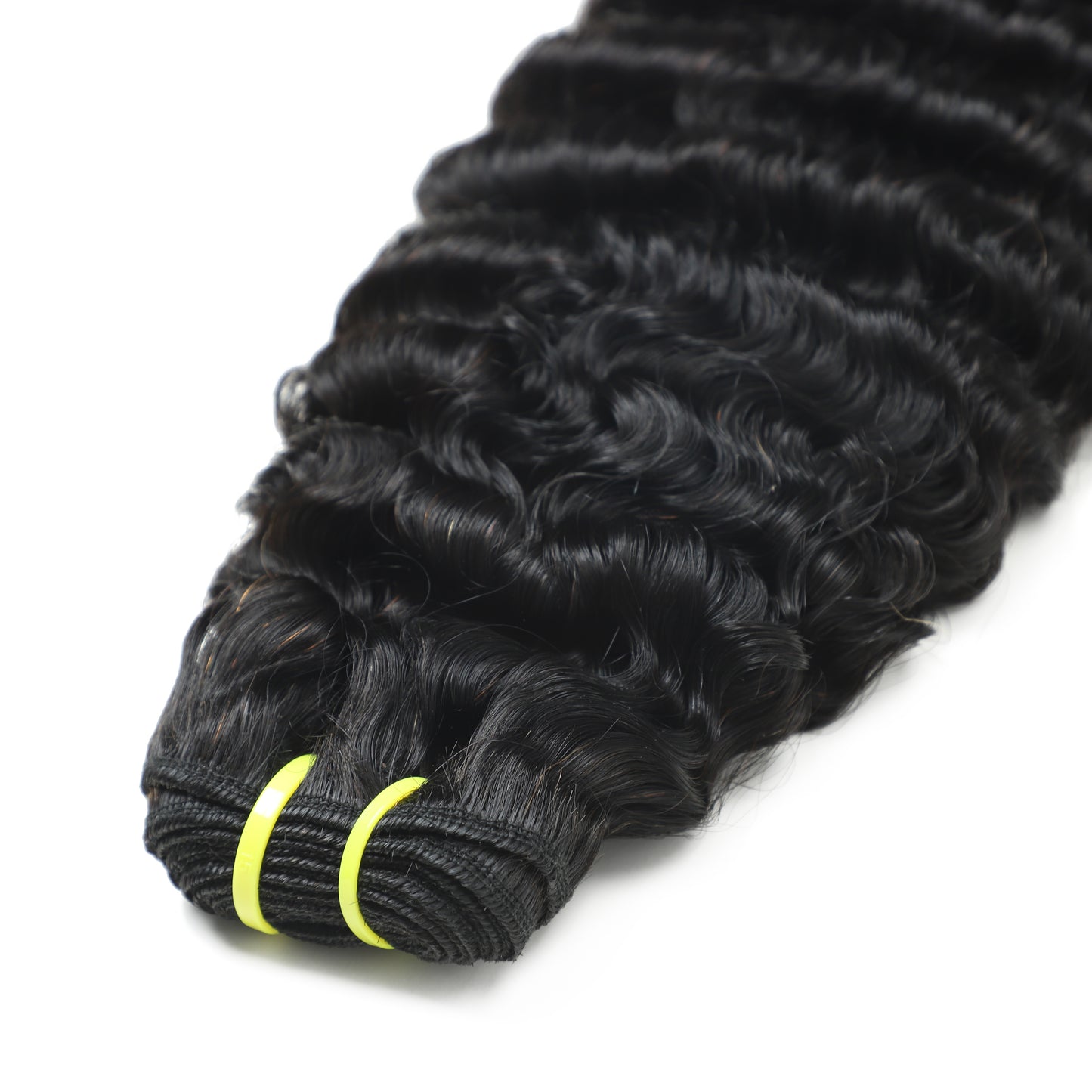 Burmese Curly Premium