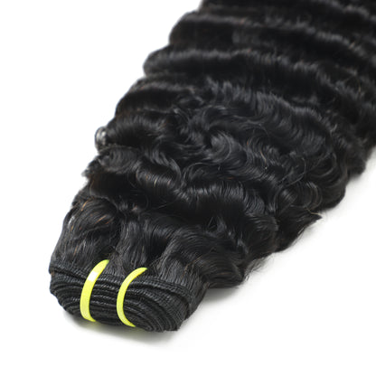 Burmese Curly Premium