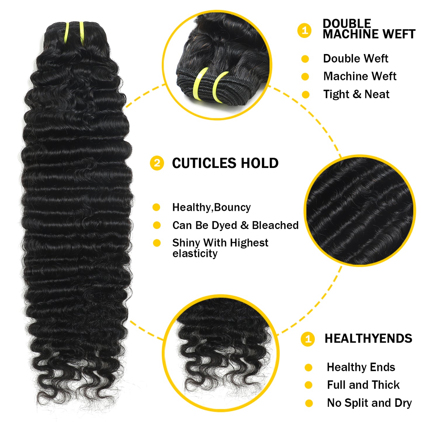 Burmese Curly Premium