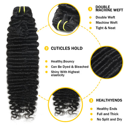 Burmese Curly Premium
