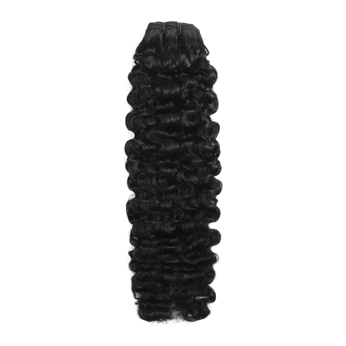 Indian Curl Bundle(Virgin)