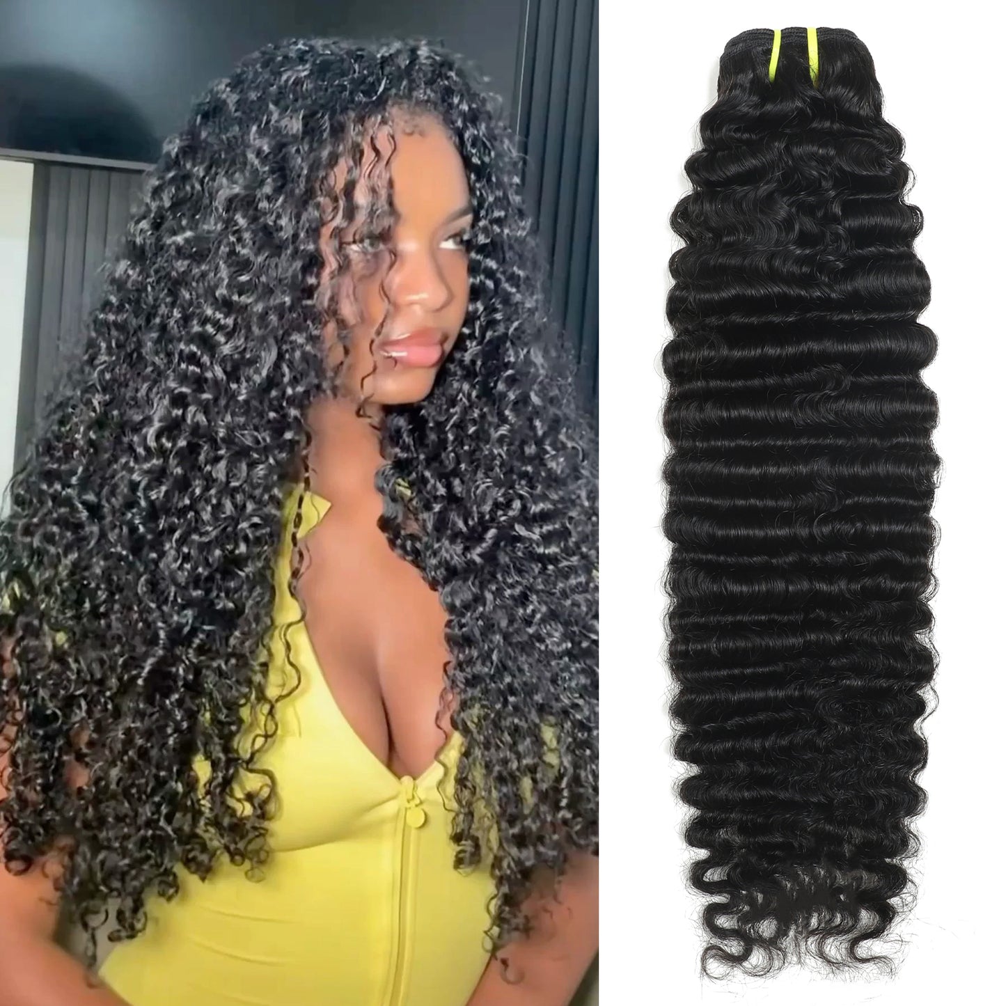 Burmese Curly Premium